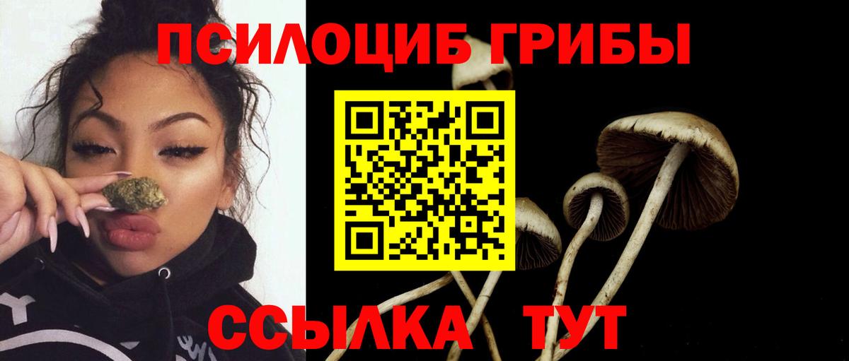 сколько стоит  Галлюциногенные грибы MAGIC MUSHROOMS  Вход с VPN  Шадринск 