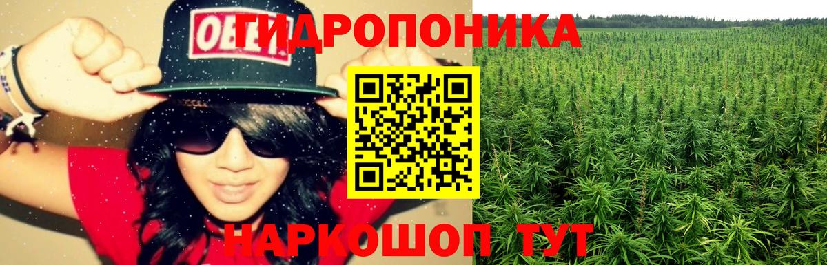 Шадринск  Канабис LSD WEED  Бошки марихуана план  Вход с VPN 