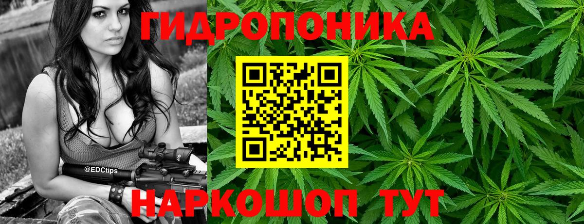 Шишки марихуана ГИДРОПОН Шадринск